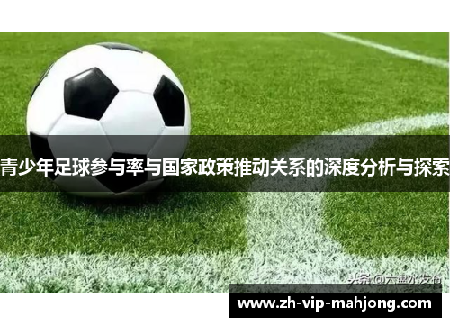青少年足球参与率与国家政策推动关系的深度分析与探索
