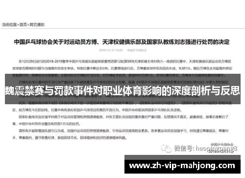 魏震禁赛与罚款事件对职业体育影响的深度剖析与反思