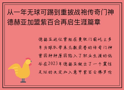 从一年无球可踢到重披战袍传奇门神德赫亚加盟紫百合再启生涯篇章 从一年无球可踢到重披战袍传奇门神德赫亚加盟紫百合再启生涯篇章
